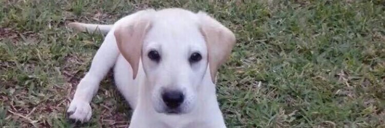 Borja Fontaneda banner