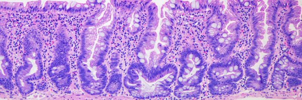 ALBoothMD Profile Banner