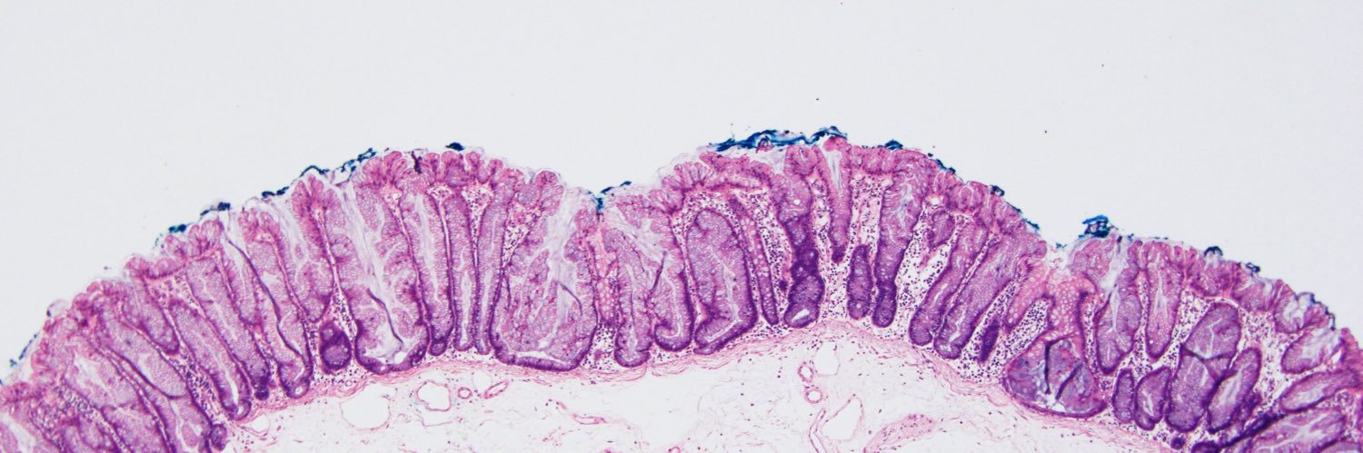 Adam L. Booth, MD banner