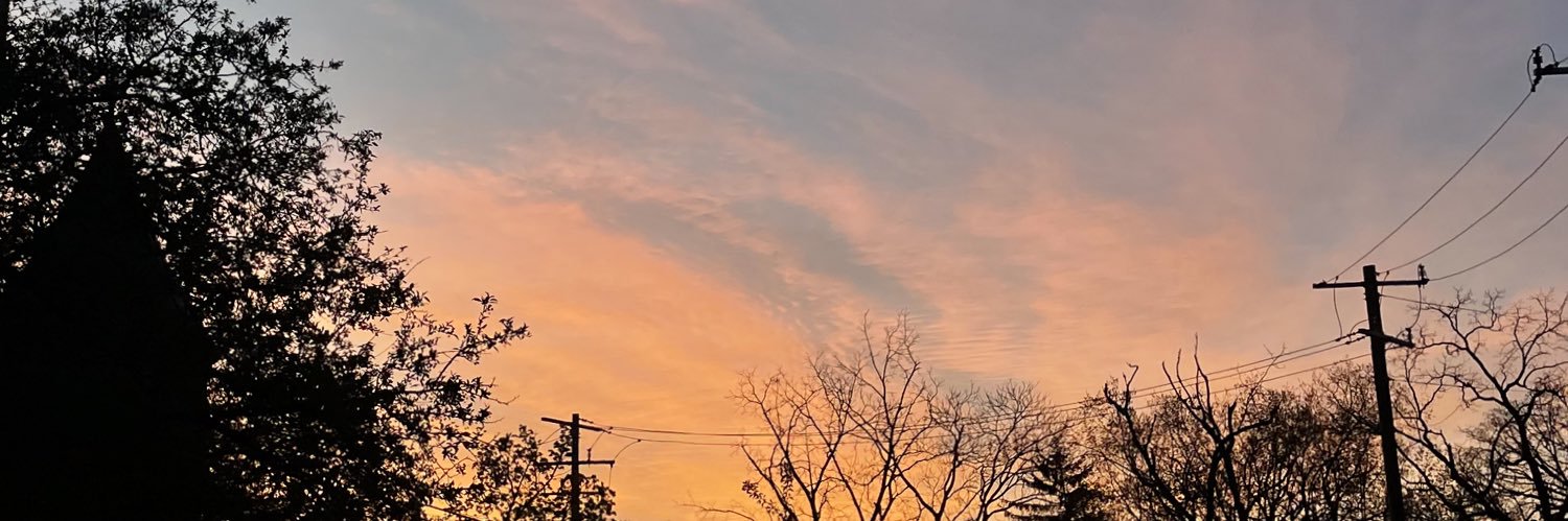 gschaefee's profile banner image