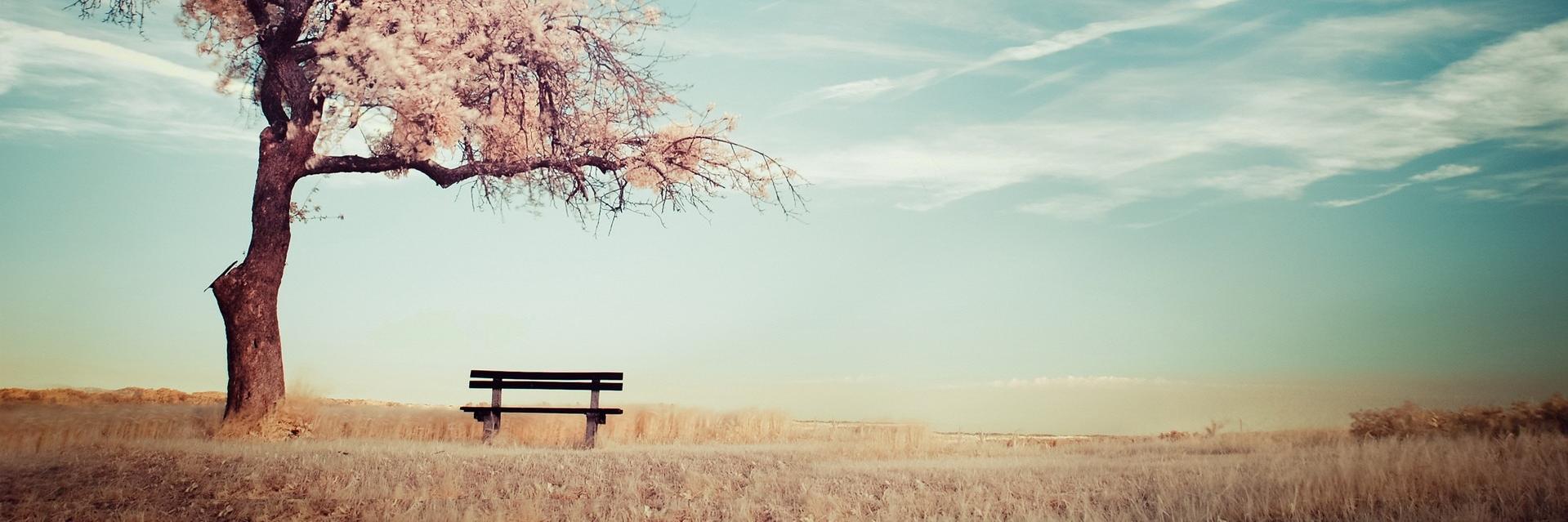 Michelle Trappett banner