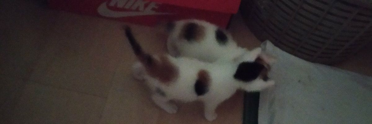 SKINuti's profile banner image