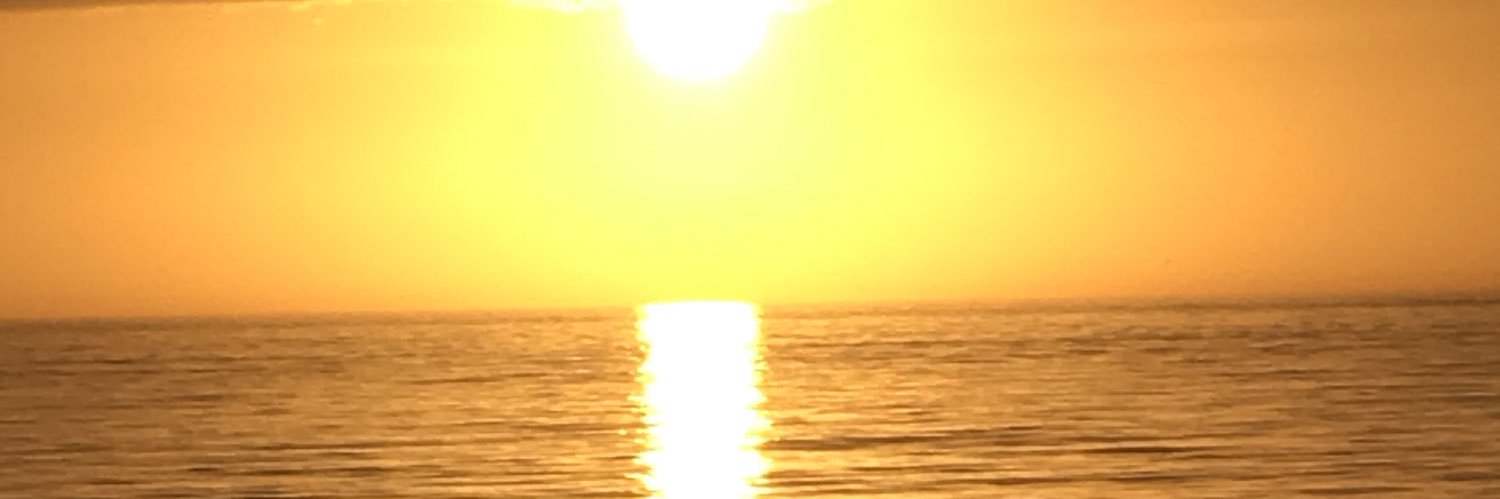 LLBisch's profile banner image