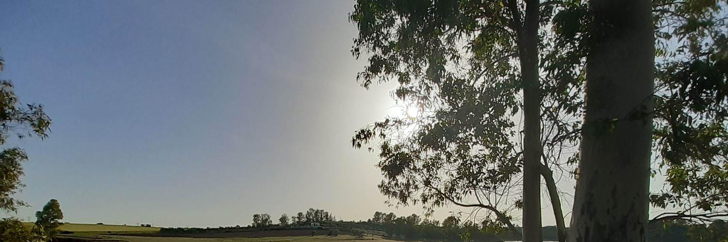 juanchooo_1's profile banner image