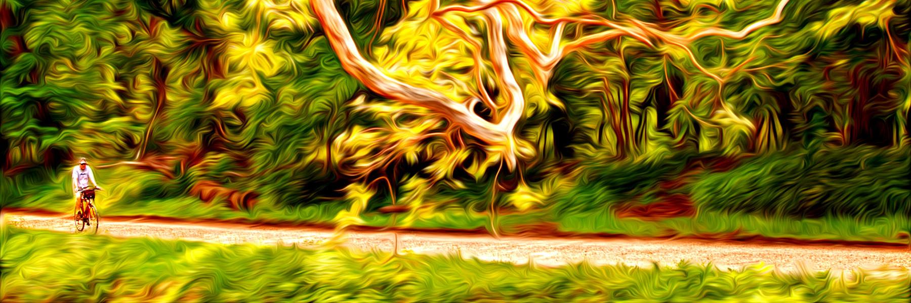 JenAndSustain's profile banner image