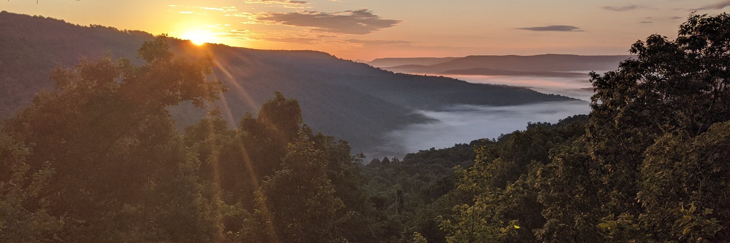 David Bumpass banner