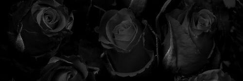 _ahhmilli's profile banner image
