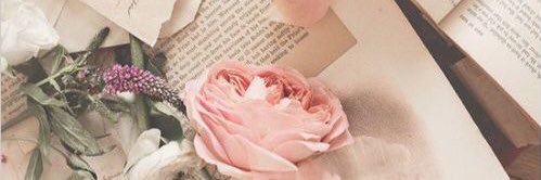 Cynthia Chadwick banner