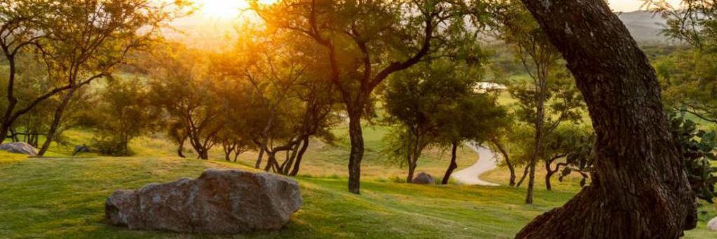 Henry Alexander Anaya banner