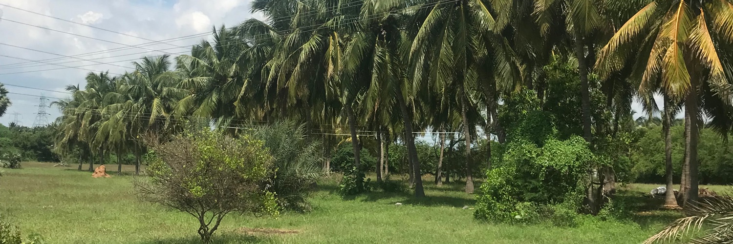 Senapathy Shots banner