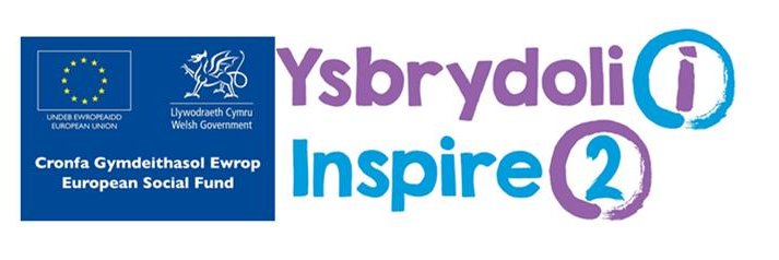 Inspire 2 Torfaen banner