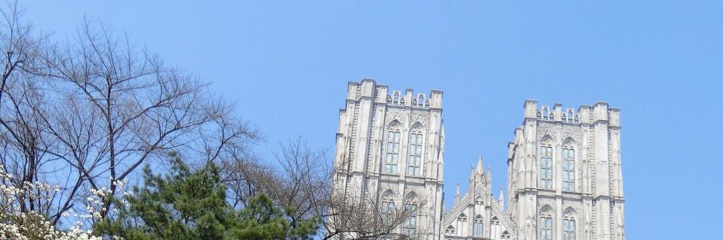 💙 banner