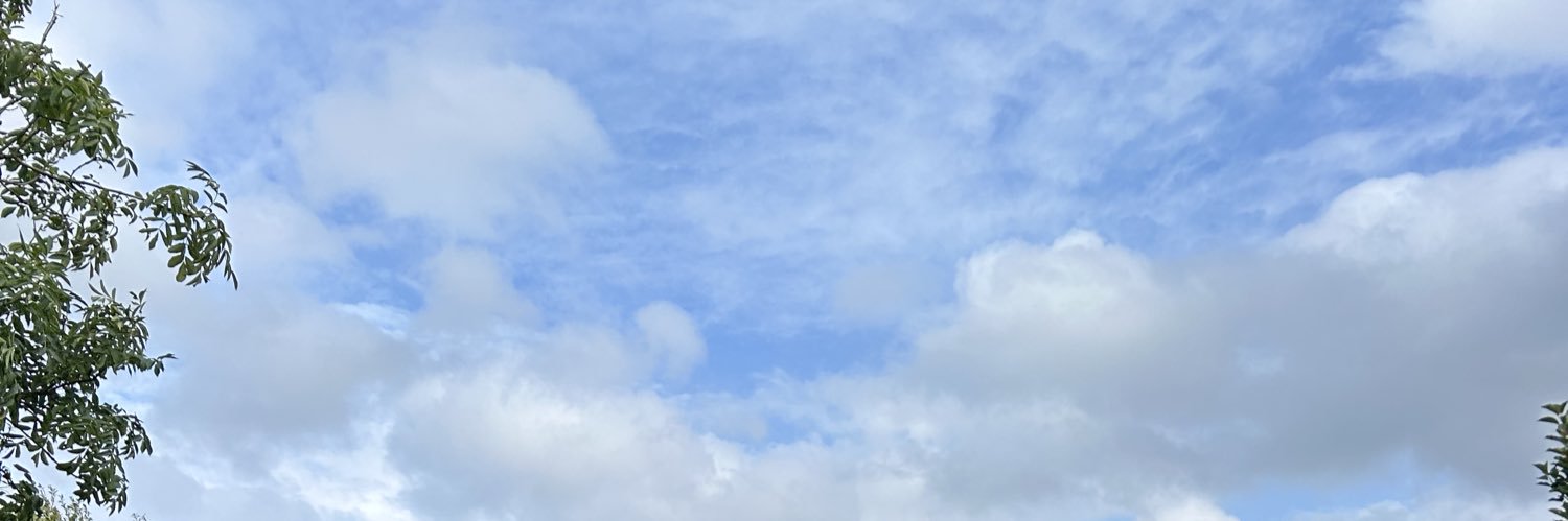 jrosemilliner's profile banner image
