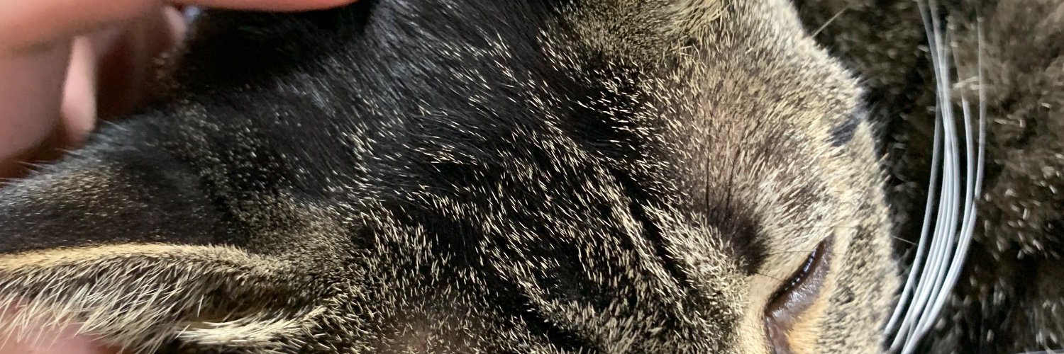 TimiT1993's profile banner image