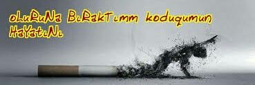 alidenizdeniz's profile banner image