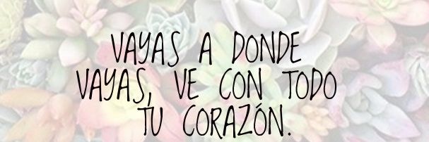 MujerMetepec's profile banner image