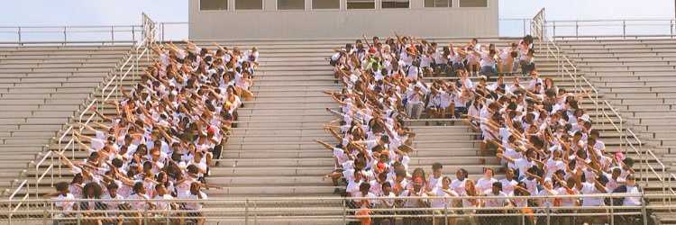 2016Stockbridge's profile banner image