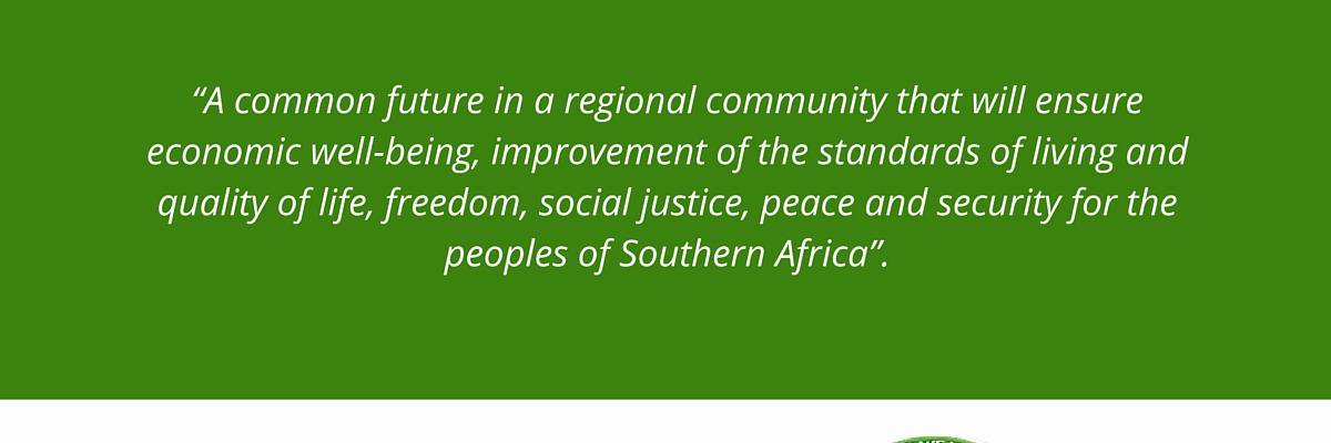 EJN of Foccisa banner