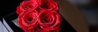 m_6330's profile banner image