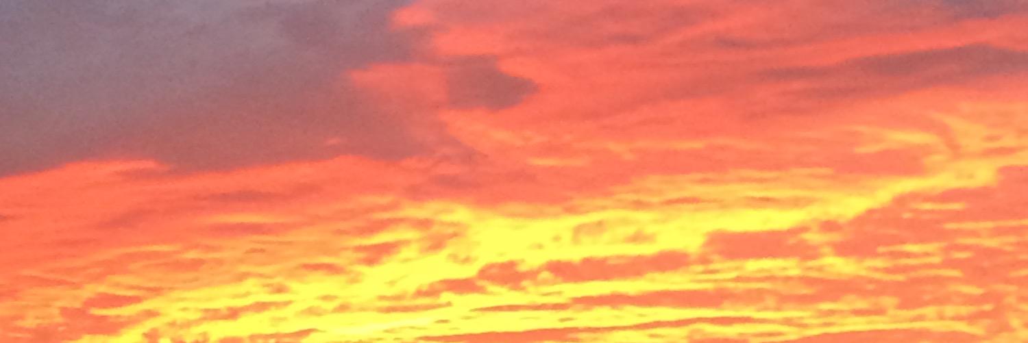 Raynah Hinson banner