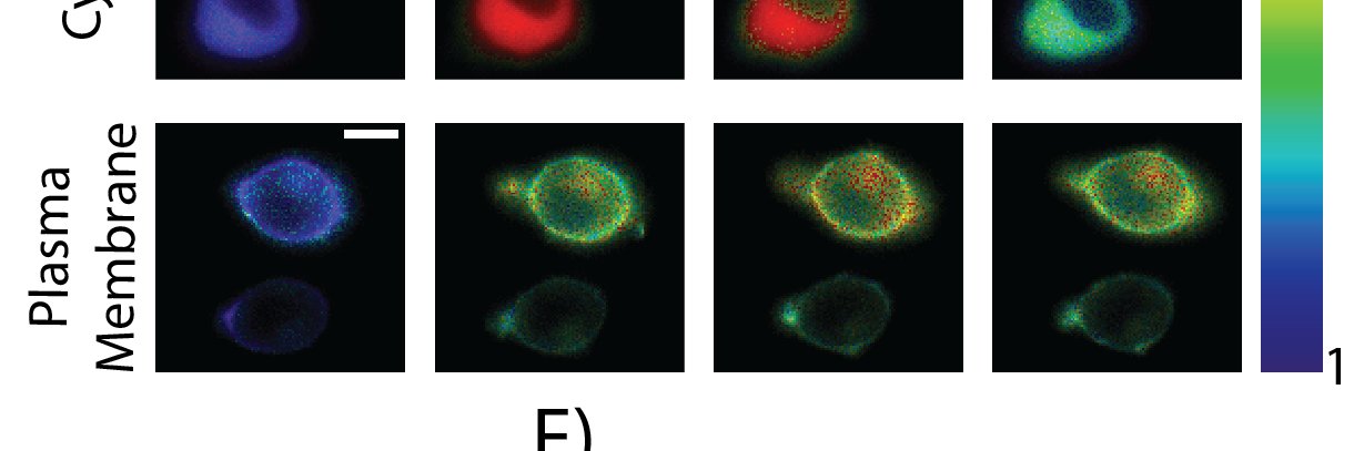 Jeremiah Keyes banner