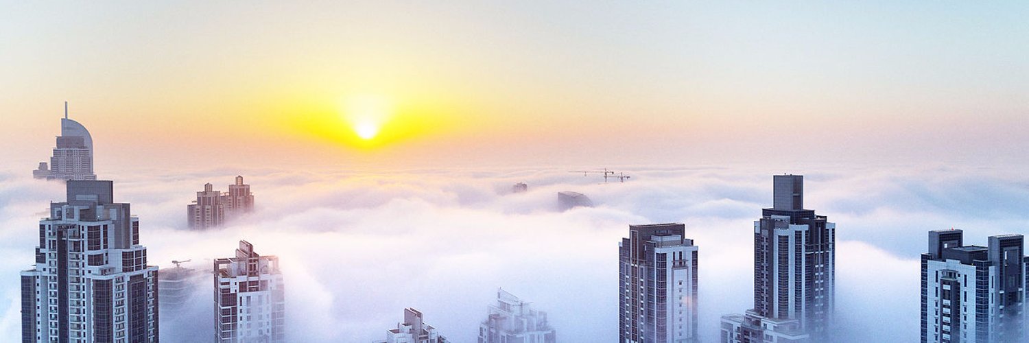 Bocru Hailemariam banner