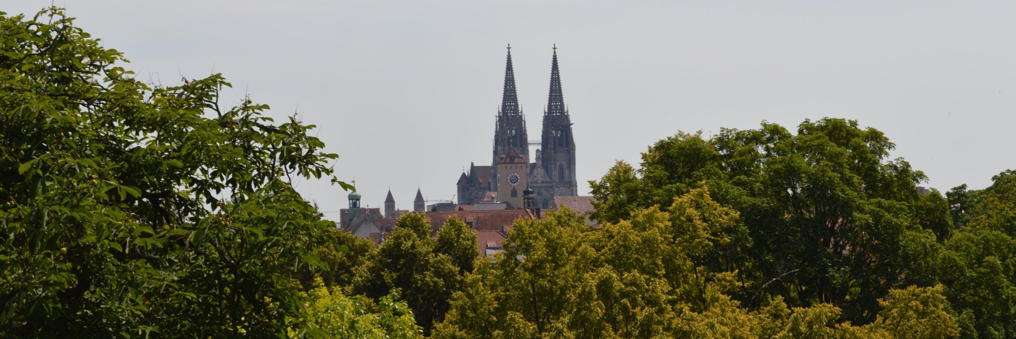 Susanne Wiedamann banner