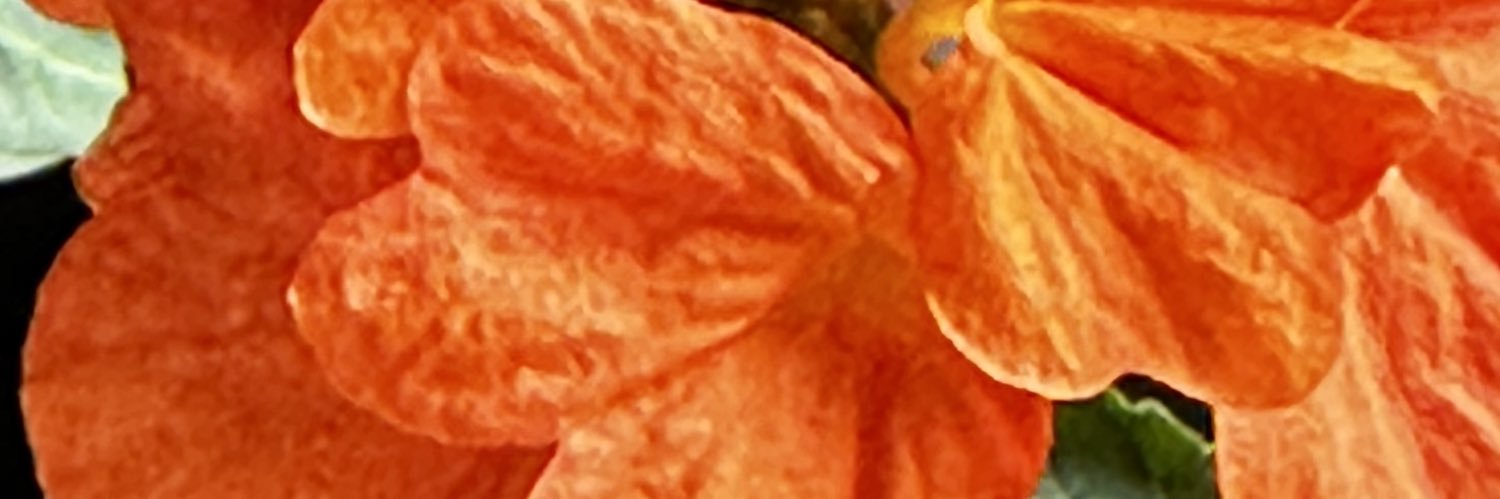 GambleRenea's profile banner image