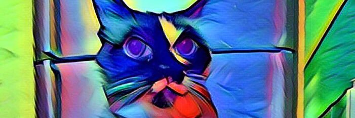 PLopeBoston's profile banner image