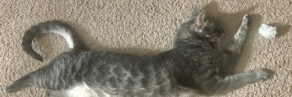 gaporwave Profile Banner