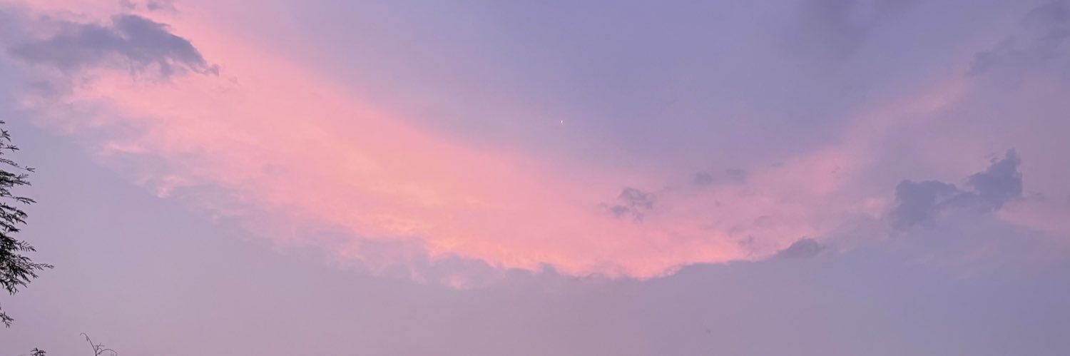 heyymint's profile banner image