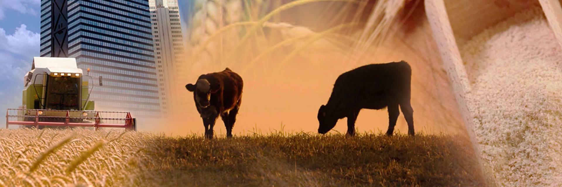 FarmgateCTV's profile banner image