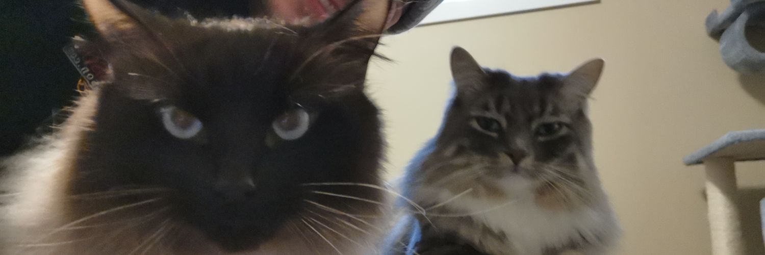 TMLSASK's profile banner image