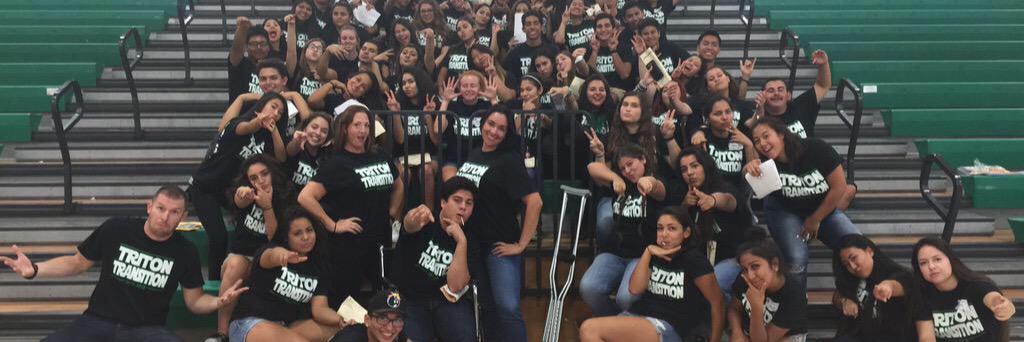 Triton Transition banner