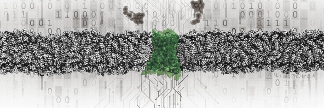 Alexander S. Hauser banner