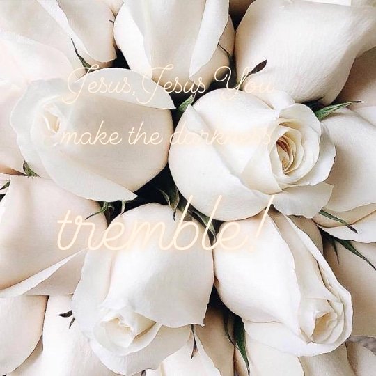 _thandolwami's profile banner image