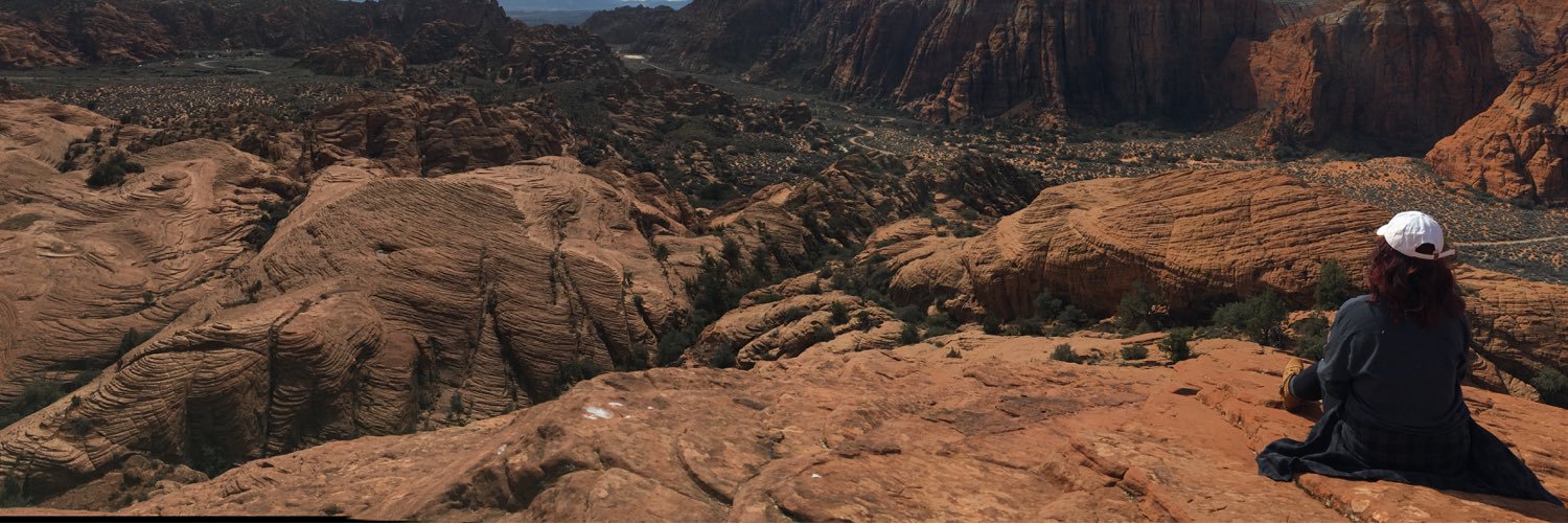 hannahynchausti's profile banner image