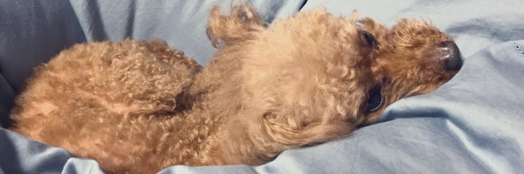 miakun_'s profile banner image