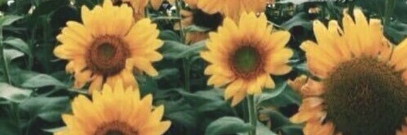 christinetins's profile banner image