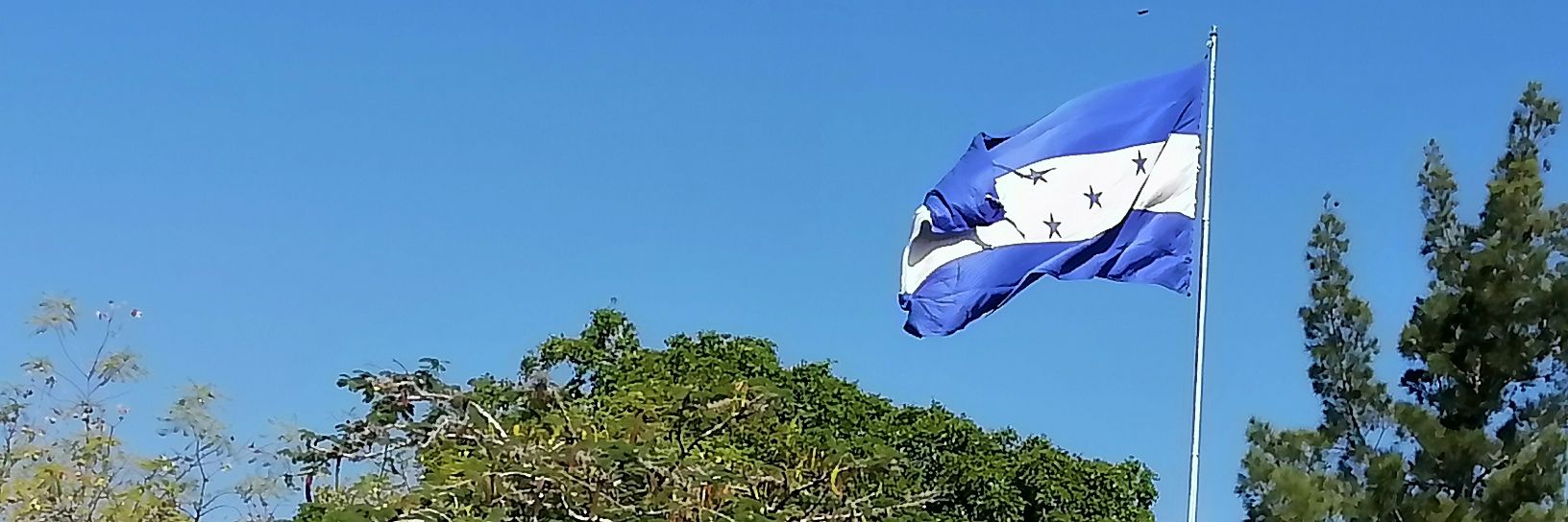 JSGonzalezz's profile banner image