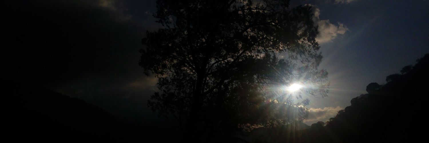 AlfredMCV's profile banner image