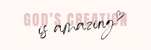 amyip2125's profile banner image