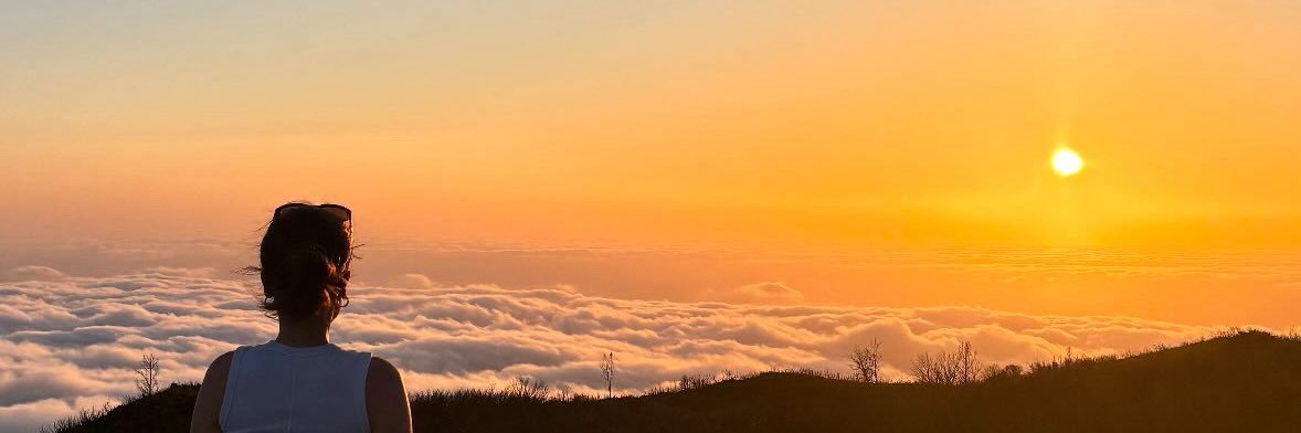 cajou_21's profile banner image