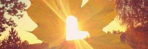stargirlfriend5's profile banner image