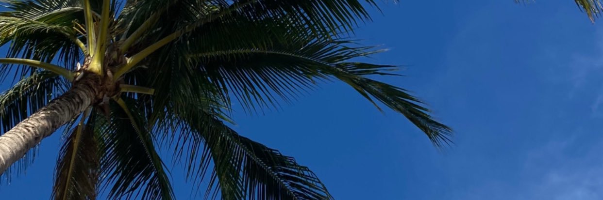 fernandagmdo's profile banner image