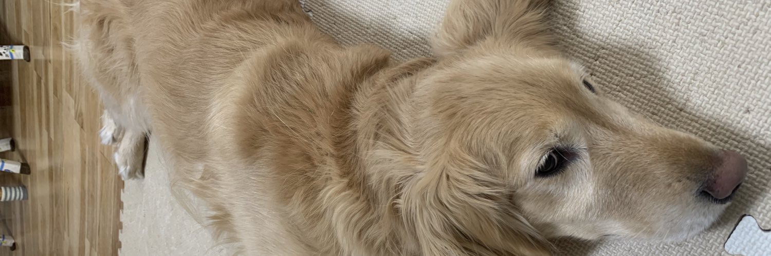 dcoconeco's profile banner image