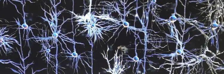 Zhi Cheng Lee Medtech Cross Border banner