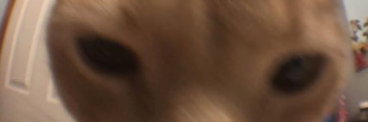 king_wbj's profile banner image
