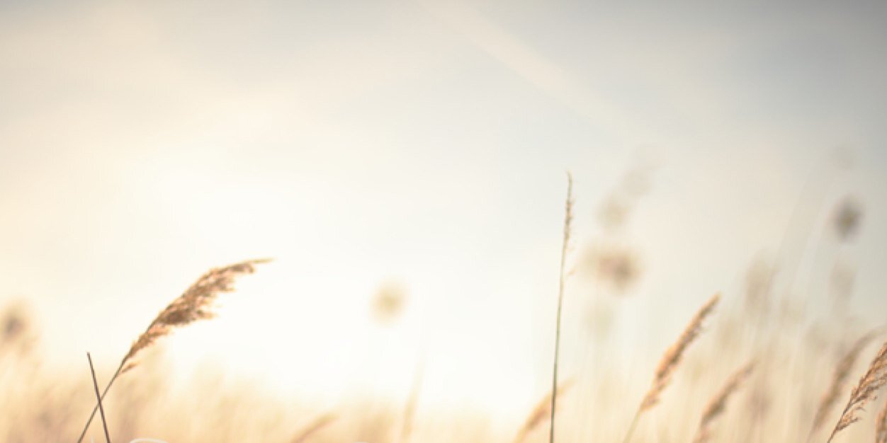beaserranob's profile banner image