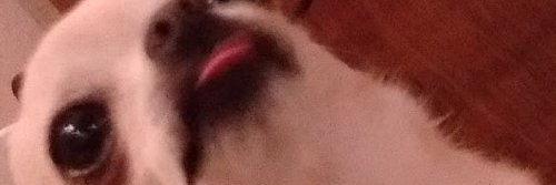 TakeitfromTonya's profile banner image